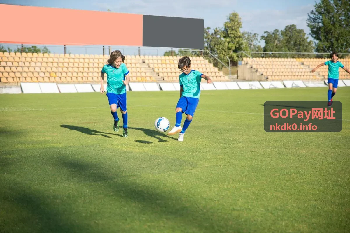 GOPay网址支付分类导航首页